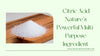 Citric Acid: Nature’s Powerful Multi-Purpose Ingredient