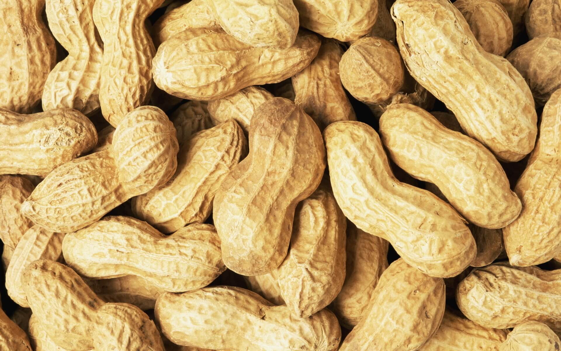 Buy Peanuts Online Best Peanuts UK Maven Wholefoods Buy Peanuts Online Best Peanuts UK Maven Wholefoods