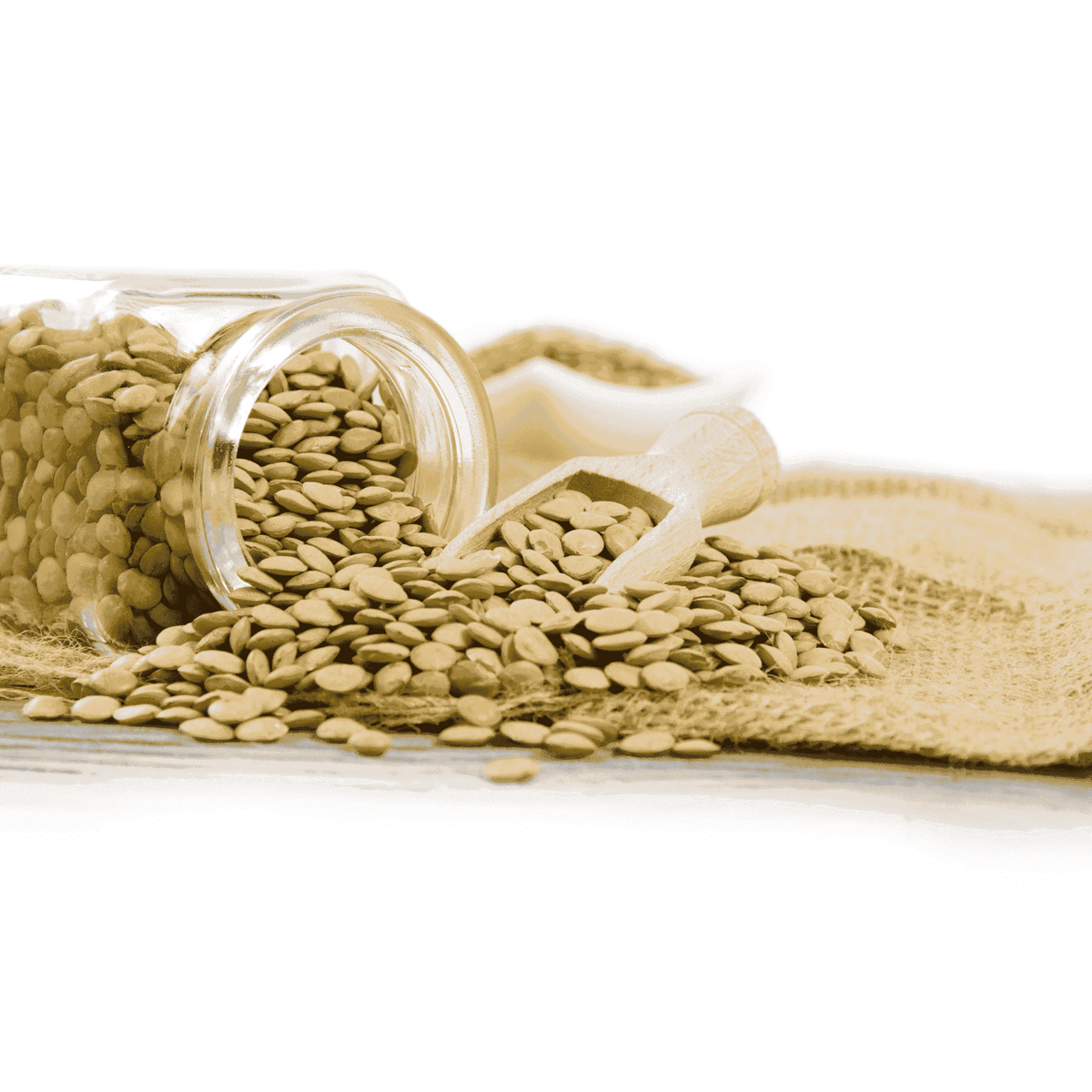 Organic Green Lentils