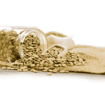 Organic Green Lentils