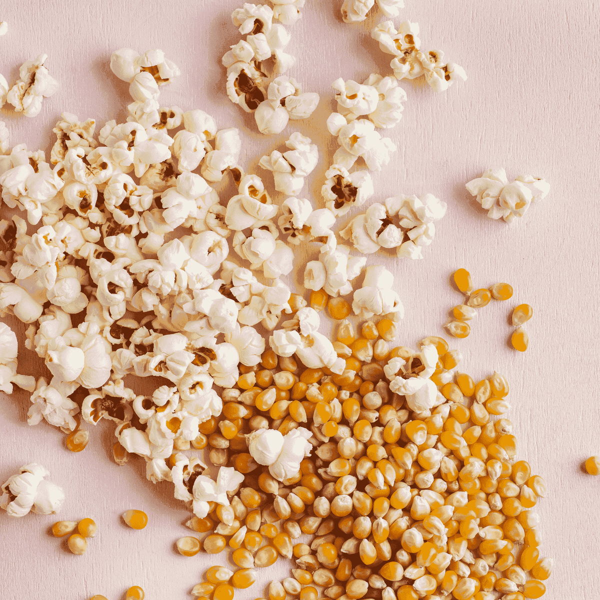 Organic Popping Corn