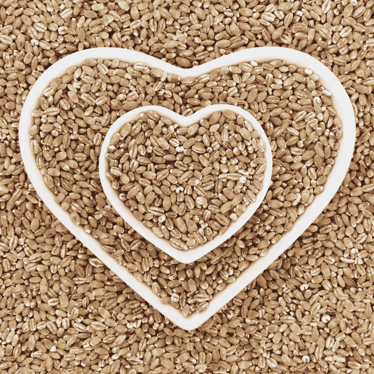 Organic Pearl Barley