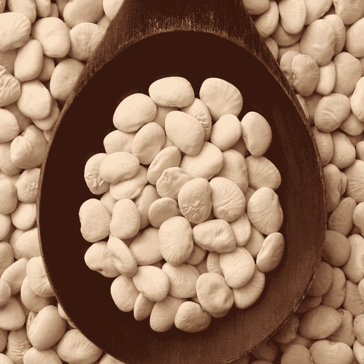 Organic Butter Beans