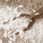 White Basmati Rice
