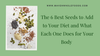 The 6 Best Seeds to Add to Your Diet and What Each One Does for Your Body