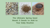 The Ultimate Spring Seed Reset: 5 Seeds to Add to Your Daily Routine