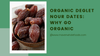 Organic Deglet Nour Dates: Why Go Organic?