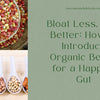 Bloat Less, Feel Better: How to Introduce Organic Beans for a Happier Gut
