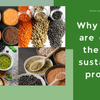 Why Lentils are one of the most sustainable proteins