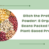 Ditch the Protein Powder: 8 Organic Beans Packed With Plant-Based Protein