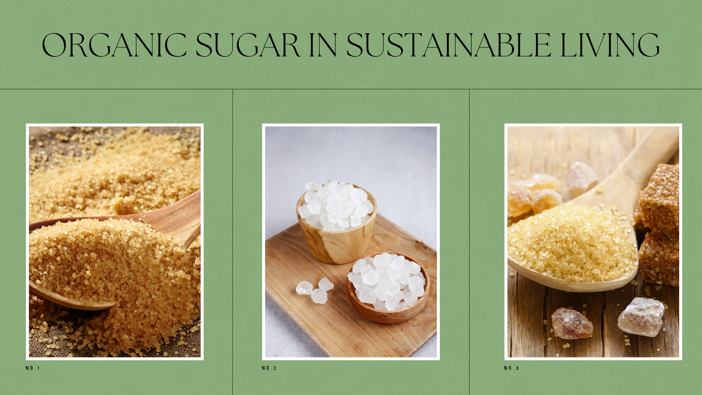 Organic Sugar in Sustainable Living