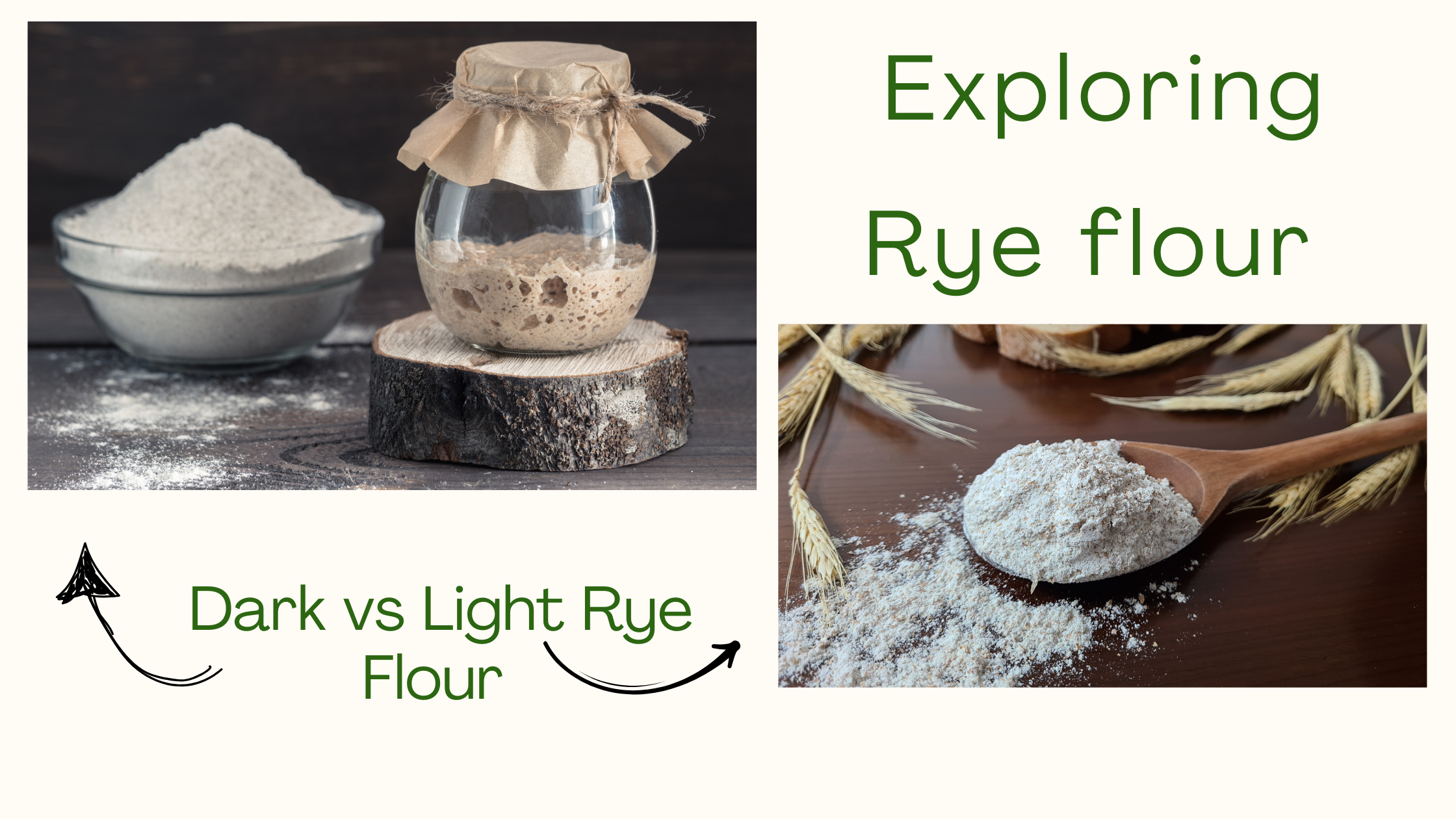 Exploring Rye Flour Varieties: From Light to Dark– Maven Wholefoods