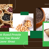 5 Plant-Based Protein Sources You Should Know About