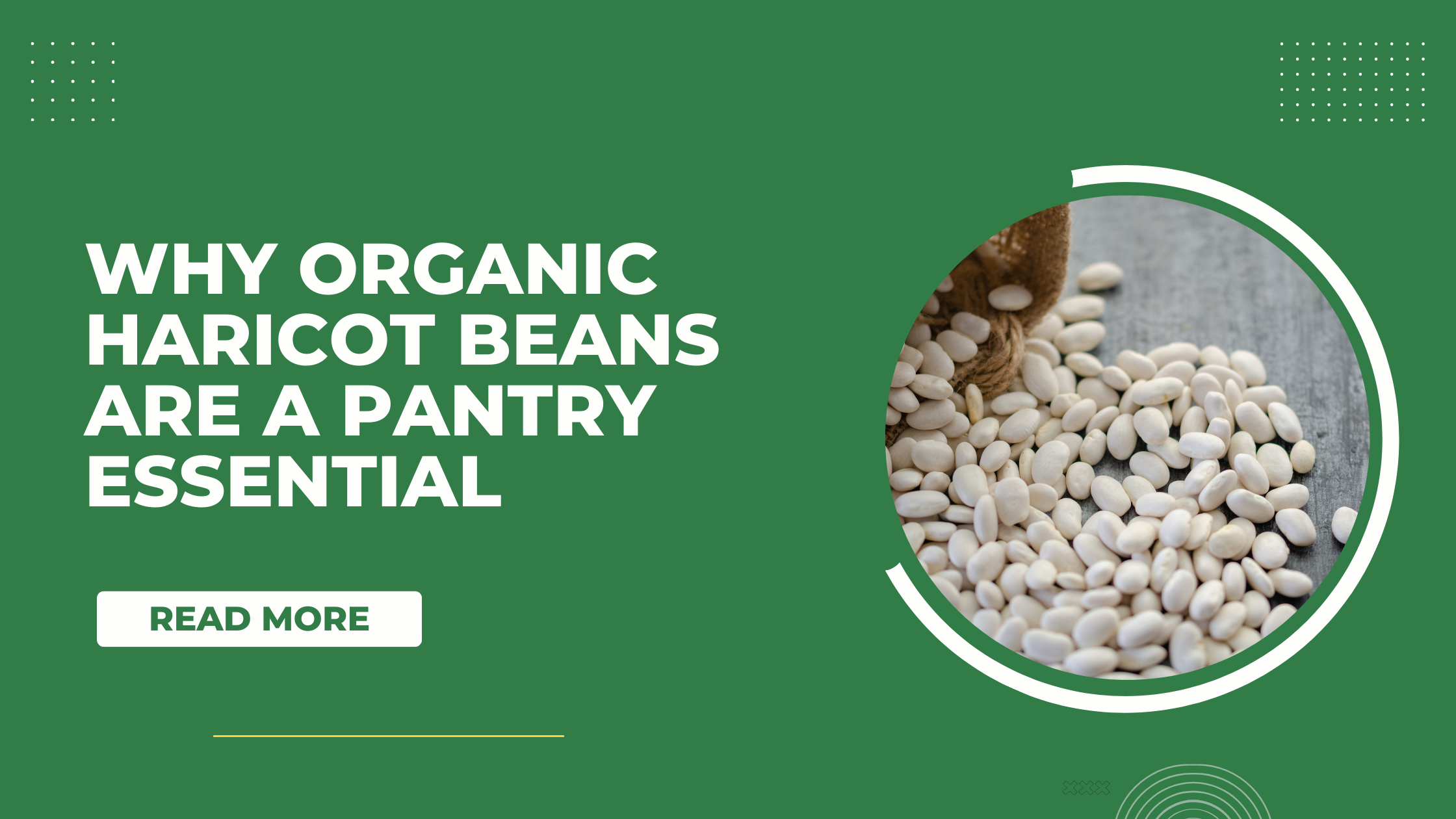 Organic Haricot Beans - Forest Whole Foods - View #10