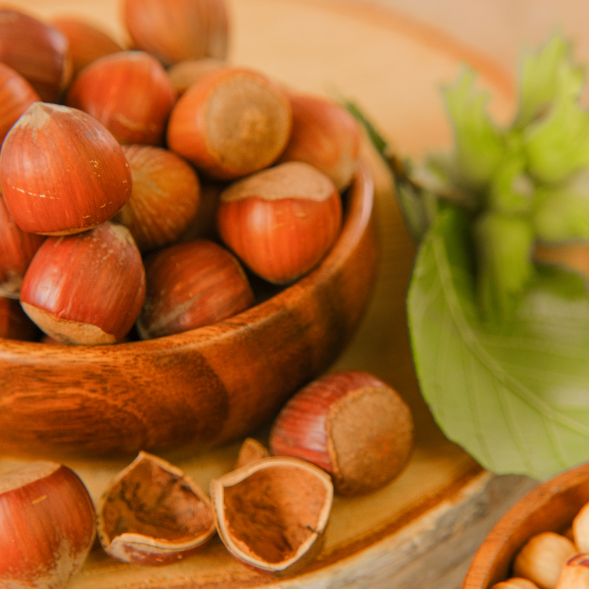 Organic Hazelnuts