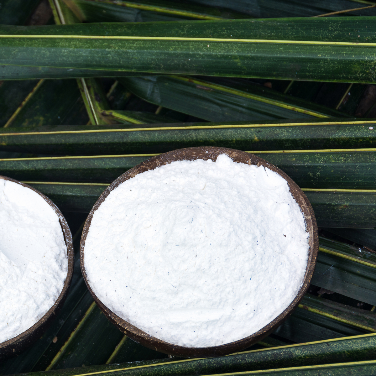 Organic Tapioca Flour (Starch)