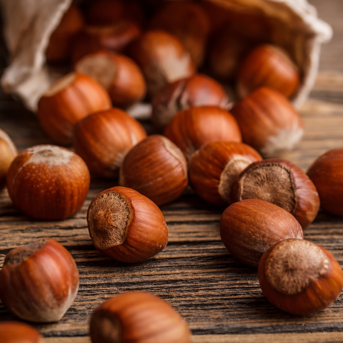 Organic Hazelnuts