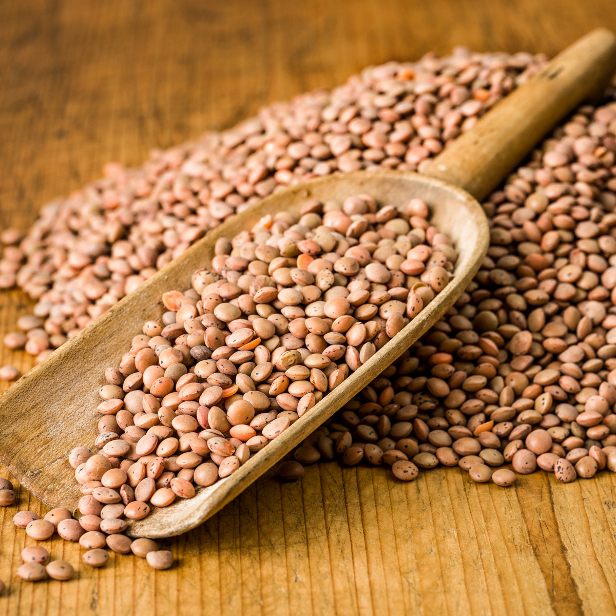 Organic Brown Lentils