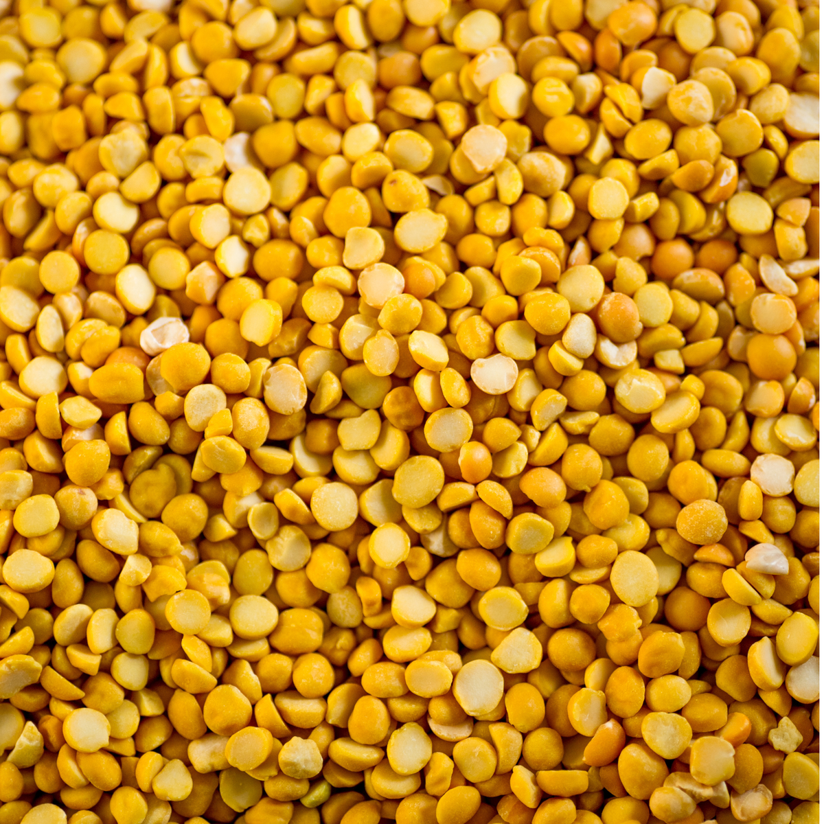 Yellow Split Peas