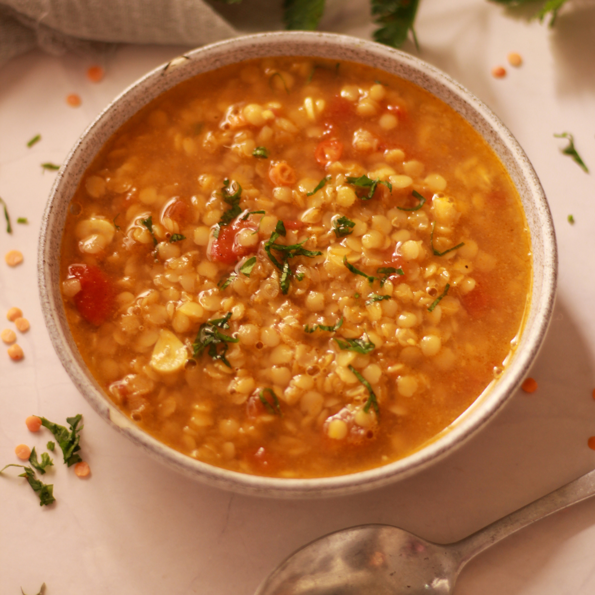 Soup Mix
